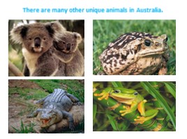 Проект «Достопримечательности Австралии - Landmarks of Australia», слайд 16