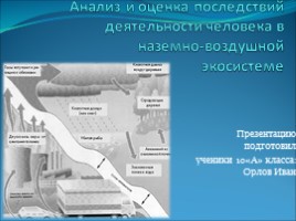 Анализ и оценка последствий деятельности человека в наземно-воздушной экосистеме