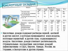 Анализ и оценка последствий деятельности человека в наземно-воздушной экосистеме, слайд 5