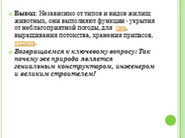 Жилища животных (для развитие критического мышления учащихся на уроках экологии), слайд 7