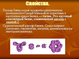 Белки (строение и функции), слайд 7