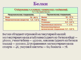 Белки (состав и строение), слайд 3