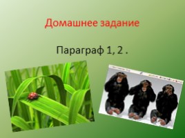 Биология - наука о жвом мире - Общие свойства живых организмов, слайд 19