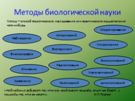 Биология - наука о жвом мире - Общие свойства живых организмов, слайд 7