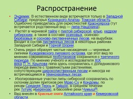 Растительный мир Красноярского края «Деревья», слайд 76