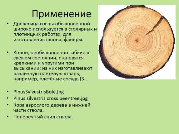 применение древесины