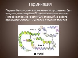Биосинтез белка - Трансляция, слайд 20