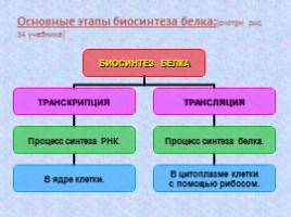 Биосинтез белка - Функции белков, слайд 5