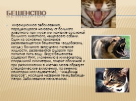 Вирусные заболевания животных, слайд 4