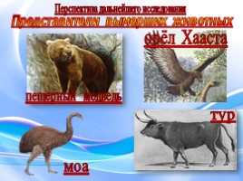 Творческая исследовательская работа «Вымершие животные», слайд 22
