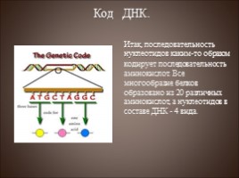 Генетический код - Транскрипция, слайд 4