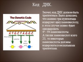 Генетический код - Транскрипция, слайд 6
