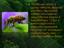 Негативні аспекти використання ГМО (на украинском языке), слайд 10