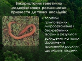 Негативні аспекти використання ГМО (на украинском языке), слайд 6