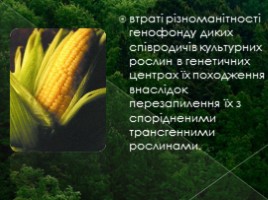 Негативні аспекти використання ГМО (на украинском языке), слайд 7