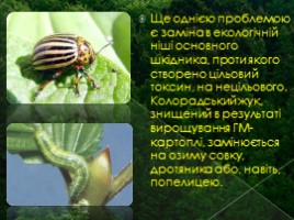 Негативні аспекти використання ГМО (на украинском языке), слайд 9