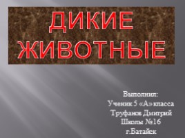 Дикие животные, слайд 1