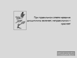 Интерактивный тренажер «Доказательства макроэволюции», слайд 2
