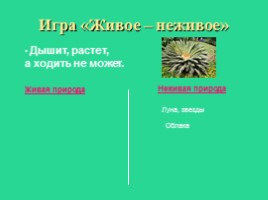 Живая и неживая природа - Представление о признаках живой природы, слайд 6