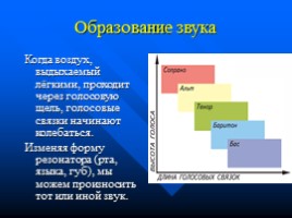 Законы физики и организм человека, слайд 18