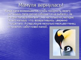 Императорские пингвины, слайд 7