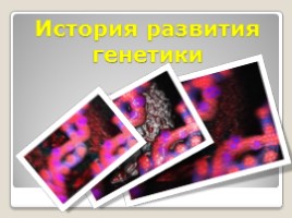 История развития генетики (генетика)