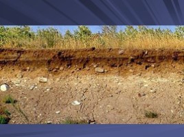 Окружающий мир «Как образуется почва?», слайд 5