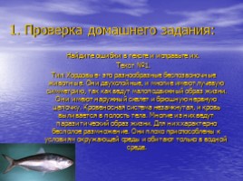 Класс Хрящевые рыбы: акулы и скаты - Класс Костные рыбы: хрящекостные, кистепёрые, двоякодышащие и лучепёрые, слайд 3