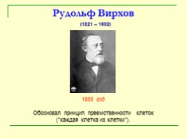 Клеточная теория строения организмов (цитология), слайд 12