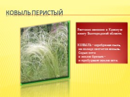 Красная книга Белгородской области, слайд 3