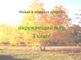 Живая и неживая природа, слайд 1