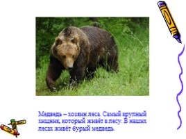 Окружающий мир 1 класс «Медведь - хозяин леса», слайд 2
