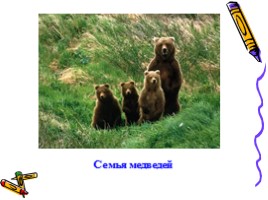 Окружающий мир 1 класс «Медведь - хозяин леса», слайд 7