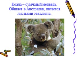 Окружающий мир 1 класс «Медведь - хозяин леса», слайд 9