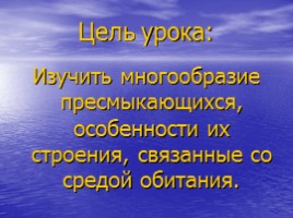 Многообразие видов, особенности строения пресмыкающихся, связанные со средой обитания, слайд 10