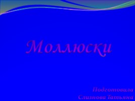 Моллюски: виды и описание, слайд 1