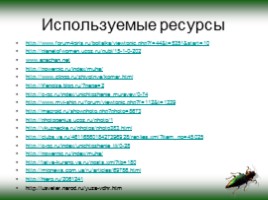 Насекомые Смоленской области, слайд 17