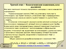 Метаболизм - Обеспечение клеток энергией вследствие окисления органических веществ - Часть 2, слайд 8