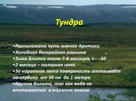 Природные зоны России, слайд 14