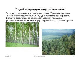 Природные зоны России, слайд 20