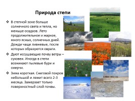 Природные зоны России, слайд 25