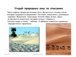 Природные зоны России, слайд 32