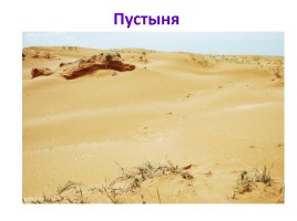 Природные зоны России, слайд 33