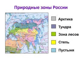 Природные зоны России, слайд 36