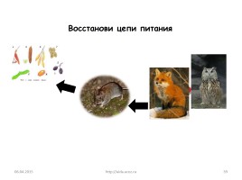 Природные зоны России, слайд 39