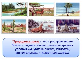 Природные зоны России, слайд 5