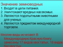 Общая характеристика земноводных, слайд 17