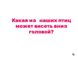 Внеклассное мероприятие по биологии для учащихся 6-7 классов «Турнир знатоков биологии», слайд 38