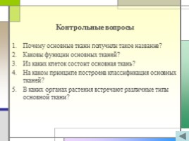 Ткани растений и их виды, слайд 17