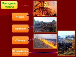 Лесные и торфяные пожары, слайд 15